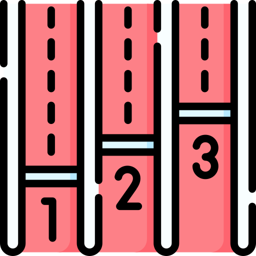 レース